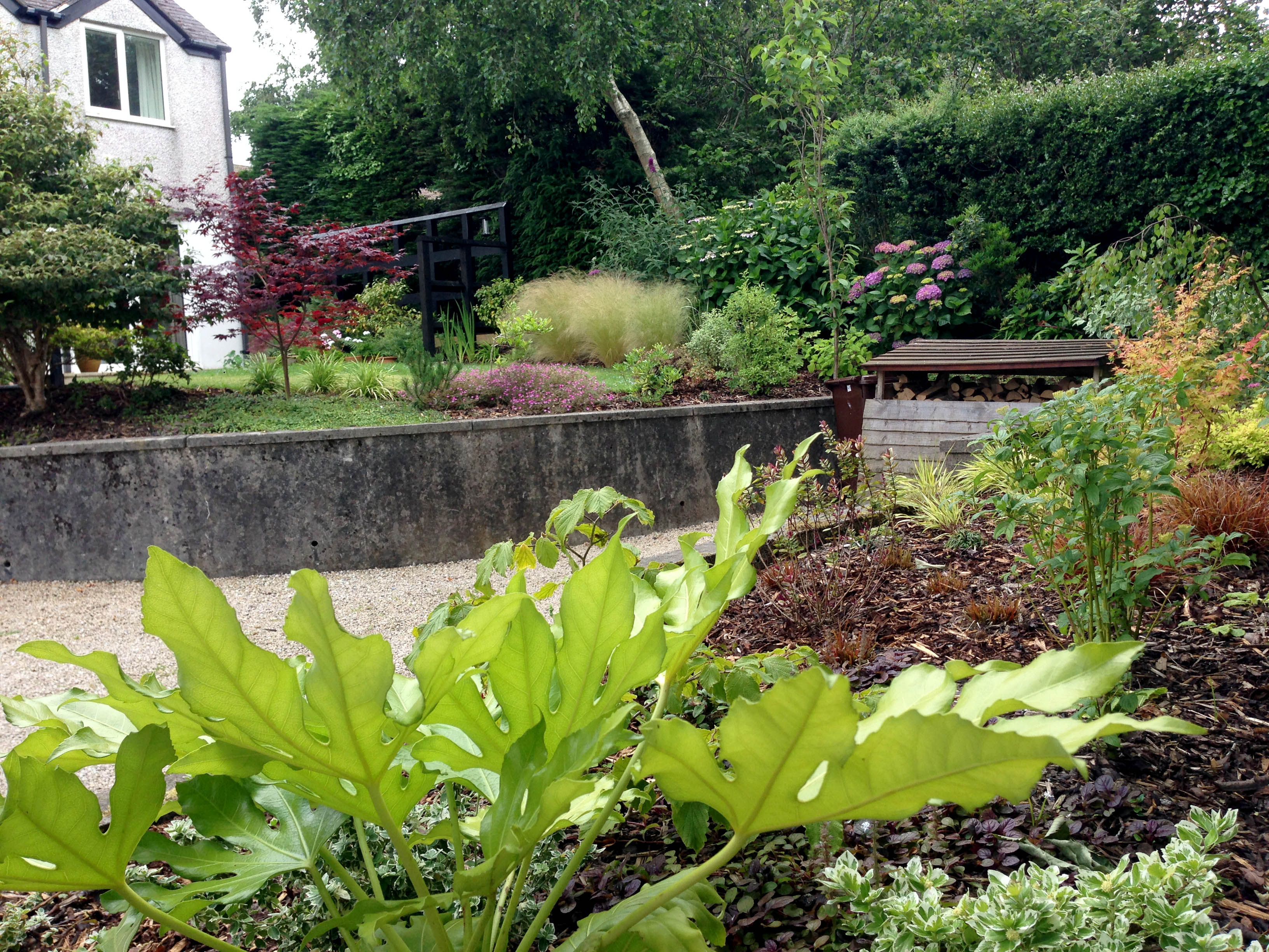 View of memorial garden and wild flowers